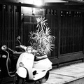DSC07438